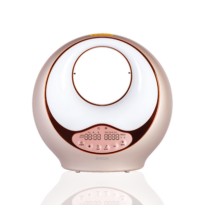 OlyLife A9 Air Purifier - Pure, Clean Air OlyLife A9 Air Purifier - Pure, Clean Air